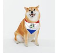 Bandana pour chien Drapeau du Paraguay - Lavable - Écharpe pour chien de petite et grande taille - Pour fille ou garçon - Accessoires pour animaux domestiques