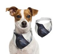 Bandana pour chien en forme de corbeau noir réglable pour animaux de compagnie, bandanas lavables double face en coton pour animaux de compagnie, écharpes triangulaires pour chiens, chats, écharpes