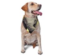 Bandana pour chien et bébé éléphant tournesols pour chiens de petite et moyenne taille, accessoire photo, bandanas triangulaires réglables et lavables