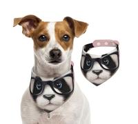 Bandana pour chien et bébé panda avec lunettes - Écharpe réglable pour animaux de compagnie - Bandana lavable double face en coton - Triangle - Écharpe pour chien et chat - Accessoires de costume pour