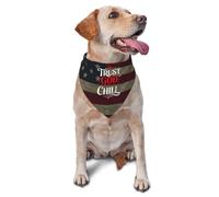 Bandana pour Chien Fais Confiance À Dieu Et Détends-Toi Toilettage des Animaux De Compagnie Lavables Bavoirs pour Chien, pour Petite, Moyenne Et Grande Taille, Chats, Photo Prises, 70x30cm
