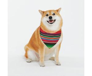 Bandana pour Chien Galerie Mexique Serape Triangulaire pour Animaux Unique Écharpe pour Le Cou, pour Petite, Moyenne Et Grande Taille, Chats, Photo Prises, 70x30cm