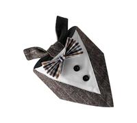 Bandana pour chien garçon - Foulard pour petit chien - Foulard triangulaire tendance - Foulard pour chien - Foulards pour chien - Magnifique accessoire pour chien pour les fêtes, les mariages, la