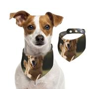 Bandana pour chien Golden Retriever - Écharpe réglable pour animaux de compagnie - Bandana lavable double face en coton - Triangle - Pour chiens et chats - Accessoires de costume pour chiot - Taille M