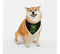 Bandana pour Chien Jamaïcain, C'est dans Mon Adn Triangulaire pour Animaux Classiques Écharpe pour Le Cou, pour Petite, Moyenne Et Grande Taille, Chats, Photo Prises, 70x30cm