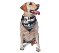 Bandana pour Chien Je Peux Me Tromper, mais J'En Doute. Toilettage des Animaux De Compagnie Accessoires Écharpe pour Le Cou, pour Petite, Moyenne Et Grande Taille, Fêtes, Photo Prises, 70x30cm