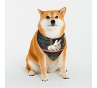 Bandana pour chien lapin blanc pour chiens de petite, moyenne et grande taille, foulard triangle pour fille ou garçon