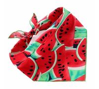 Bandana pour chien lavable en coton triangle pour chien imprimé pastèque bandana pour chiot ou chat