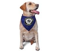 Bandana pour Chien Lieutenant-Colonel De L'Armée Américaine À La Retraite Triangulaire pour Animaux Unique Vêtements, pour Petite, Moyenne Et Grande Taille, Chats, Photo Prises, 70x30cm