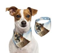 Bandana pour chien - Lion de montagne - Écharpe réglable pour animaux de compagnie - Bandana lavable double face en coton - Triangle - Écharpe pour chien et chat - Accessoires de costume pour chiot