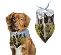 Bandana pour chien Little Cat on the Grass - Écharpe triangulaire lavable et réglable - Écharpe respirante pour animaux de compagnie de petite, moyenne et grande taille - Accessoire tendance mignon