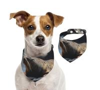 Bandana pour chien marron phoque sur le rocher - Écharpe réglable pour animaux domestiques - Bandana lavable double face en coton - Triangle - Écharpe pour chien et chat - Accessoires de costume pour