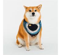Bandana pour chien mauvais œil réglable pour animaux de compagnie - Bandana de Noël pour animaux de compagnie - Bavoirs triangulaires doux et respirants pour chats de petite, moyenne et grande taille