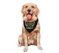 Bandana pour Chien Mexico Mexican Mex Flag Logo Respirant Bavoirs pour Chien Animaux De Compagnie Bandana Pets pour Chiens Chats Chiot Petit Moyen Grand 30X70Cm