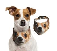Bandana pour chien mignon Chihuahua pour animal domestique - Bandana réglable pour animaux de compagnie - Bandana lavable double face en coton triangulaire pour chiens et chats - Accessoires de
