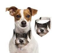 Bandana pour chien mignon schnauzer écharpe réglable pour animaux de compagnie bandanas lavables double face pour animaux de compagnie foulard triangle en coton écharpe pour chiens chats écharpes pour