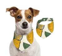 Bandana pour chien motif citron, écharpe réglable pour animaux de compagnie, bandanas lavables double face pour animaux de compagnie, bavette triangulaire en coton pour chiens, écharpes pour chats