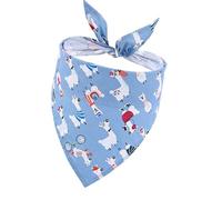 Bandana pour chien - Motif fruit, harnais triangulaire réglable, tissu confortable, design ludique multicolore, accessoire pour animaux | Excursions en plein air, événements festifs, libre