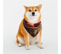 Bandana pour chien - Motif fruits rouges dans un panier - Bandana réglable pour animaux de compagnie - Écharpe de Noël pour animaux de compagnie - Bavoirs triangulaires doux et respirants pour chats