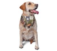 Bandana pour chien Rainy Street in Paris - Accessoire pour chiens de petite et moyenne taille - Accessoire photo - Bandana triangulaire réglable - Lavable - Pour chiot
