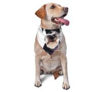 Bandana pour chien schnauzer bien comporté - Accessoires pour chiens de petite et moyenne taille - Accessoire photo - Bandana triangulaire réglable - Lavable - Pour chien
