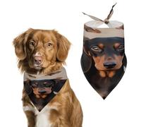Bandana pour chien teckel mignon en coton doux lavable au quotidien en été durable triangle réversible pour chiens et chats de petite, moyenne et grande taille