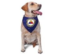 Bandana pour Chien Vétéran De La Guerre De Corée, 5E Division Blindée Toilettage des Animaux De Compagnie Accessoires Écharpe pour Le Cou, pour Fêtes, Photo Prises, 70x30cm
