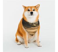 Bandana pour chien Vue du paysage typique de la Toscane - Bandana réglable pour animaux de compagnie - Écharpe triangulaire douce et respirante pour chats de petite, moyenne et grande taille
