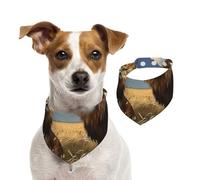 Bandana pour chiens de petite, moyenne et grande taille, motif lion dans la steppe, foulard triangle pour fille ou garçon