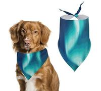 Bandana réglable Northern Lights pour chien - Décoration de fête pour animal domestique - Écharpe triangulaire pour chiot et chat de petite et moyenne taille