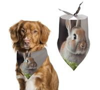 Bandana réglable pour chien Rabbit is Eating Vegetables, accessoire de costume pour chiot et chat de petite et moyenne taille