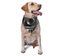 Bandana rétro cool pour chien et chat de petite et moyenne taille, accessoire photo, bandana triangulaire réglable lavable pour chiot, chiot