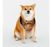 Bandana Statue d'Angkor Wat pour chiens de petite, moyenne et grande taille, pour chat ou chien