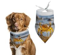Bandana transparent réglable pour chien crabe - Décoration de fête pour animaux de compagnie - Écharpe triangulaire pour chiot et chat de petite et moyenne taille