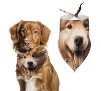 Bandana triangle amusant pour chien - Lavable - En polyester - Pour chiens et chats de taille moyenne et grande