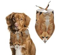 Bandana triangle orange pour chiens et chats - Lavable - En polyester - Pour chiens et chats de taille moyenne et grande