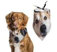 Bandana triangle pour chien avec photo d'animal - Lavable - En polyester - Joli bandana pour animaux de compagnie - Pour chiens de taille moyenne et grande - Chiots et chats