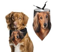 Bandana triangulaire à poils longs pour chien teckel lavable en polyester pour chiens et chats de taille moyenne et grande
