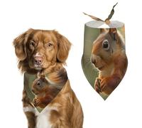 Bandana triangulaire en polyester lavable en forme d'écureuil pour chien de taille moyenne et grande