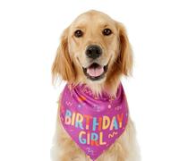 Bandana triangulaire pour chien, 17 x 17 cm, adorable réglable en coton et polyester, accessoire de jouet confortable pour la course à pied, les célébrations en plein air, bleu et rose
