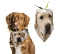 Bandana triangulaire pour chien labrador lavable en polyester pour chiens de taille moyenne et grande taille