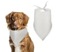 Bandana triangulaire réglable en papier aquarelle pour chien et chat