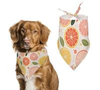 Bandanas d'anniversaire pour chien - Imprimé fruits colorés - Lavable - Accessoires pour animaux de compagnie - Écharpe triangulaire pour chiens ou chats