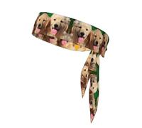 Bandanas de sport à nouer - Bandeau d'entraînement unisexe avec imprimé chiens Golden Retriever, bandeaux athlétiques d'été, cyclisme, et plus encore