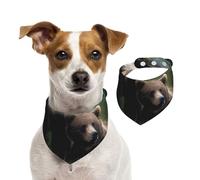 Bandanas d'été pour chiens « A Mother and A Cub Bears » - Bandanas lavables et réglables - Écharpe triangulaire pour chien - Bavoirs mignons pour chiens de taille moyenne et grande - Chiots et chats