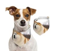 Bandanas d'été pour chiens Akita - Lavables et réglables - Triangle - Bavoirs mignons pour animaux de compagnie - Pour chiens de taille moyenne et grande - Chiots et chats - Taille S