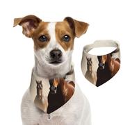 Bandanas d'été pour chiens, animaux, chevaux, bandanas lavables et réglables en triangle pour chiens de taille moyenne et grande taille