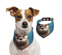 Bandanas d'été pour chiens - Bandana en forme de loutre - Lavable et réglable - Triangle - Bavoirs mignons pour animaux de compagnie - Pour chiens de taille moyenne et grande - Chiots et chats