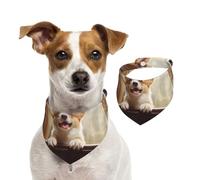 Bandanas d'été pour chiens - Bandana mignon pour chien Corgi - Lavable et réglable - Écharpe triangulaire - Bavoirs mignons pour animaux de compagnie - Pour chiens de taille moyenne et grande - Chiots