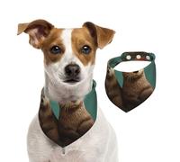 Bandanas d'été pour chiens, bandanas lavables et réglables en forme de loutres amoureuses pour chiens, chiots et chats, taille M